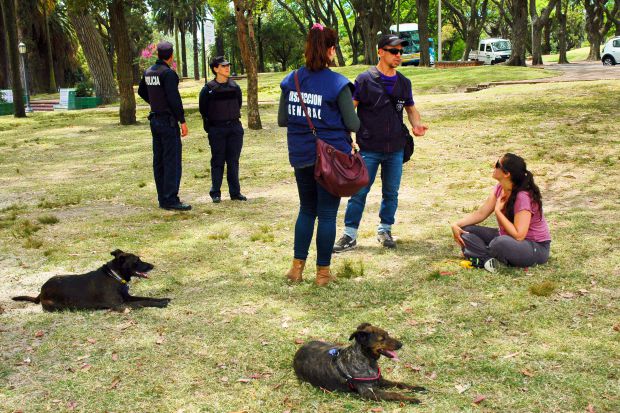 Cantidad de perros en Uruguay es