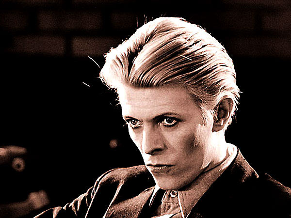 HEROE BOWIE heroe bowie: