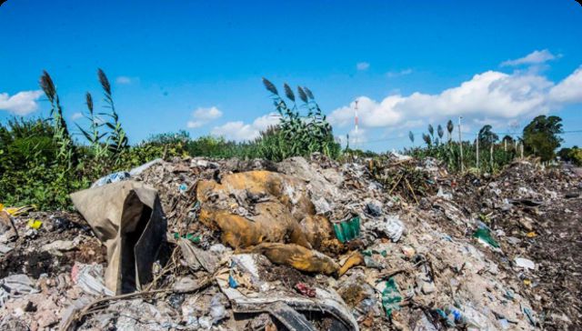 Que no vaya a la basura