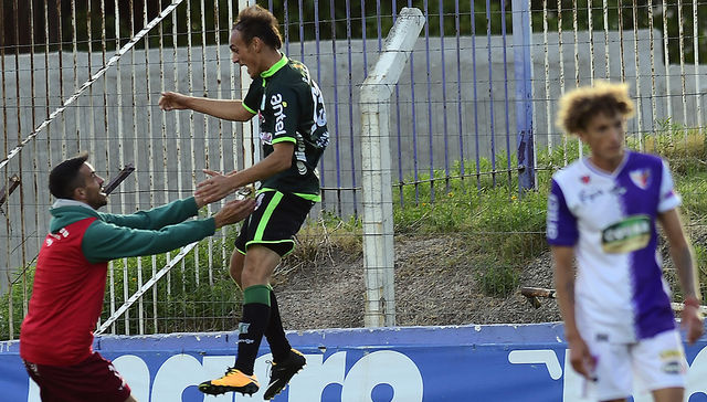 Mosquito del gol