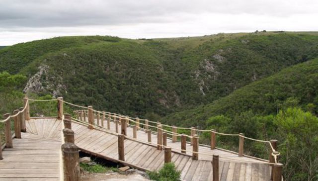 Centro al área