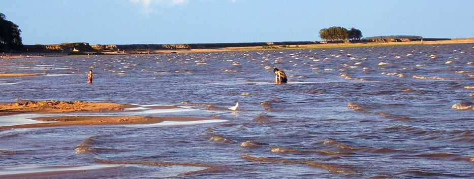 Reclaman hidrovía entre laguna dos Patos y lago Merín