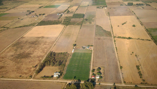 Bajame el déficit, Azucena