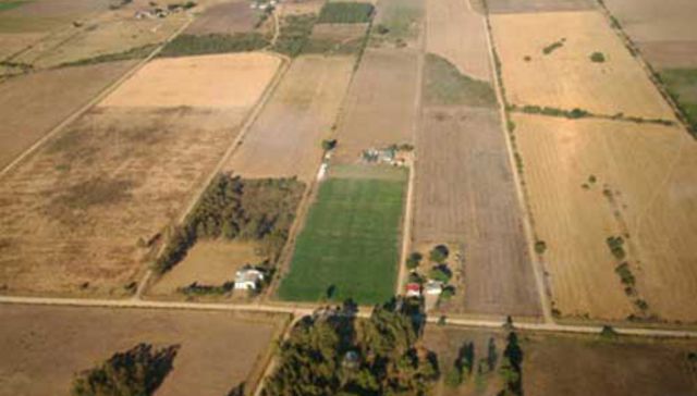 La vieja está en la cueva