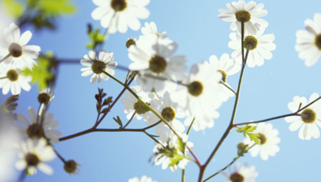 En primavera en las calles
