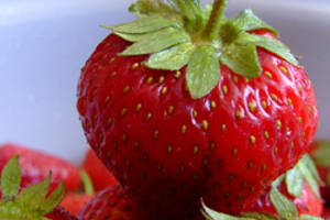 Mermelada de frutillas