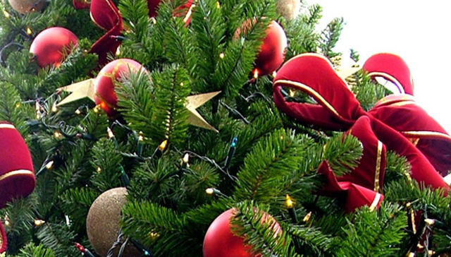 Otra Navidad en las trincheras