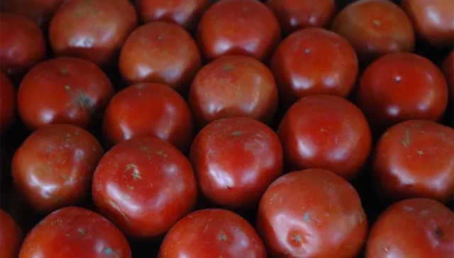 Rojo de enojo