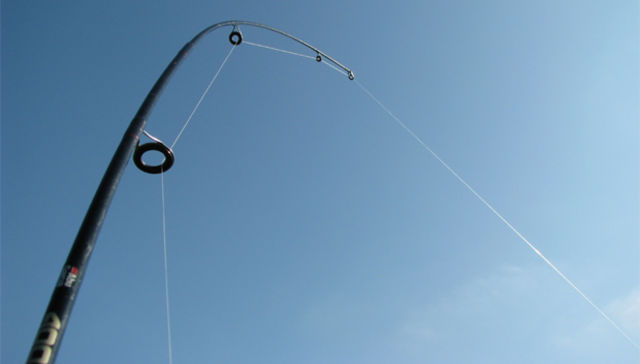 La Antártida desprotegida