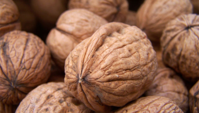 Menos ruido y más nueces