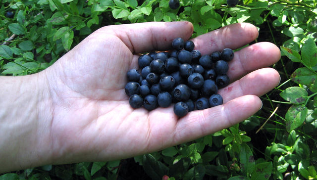 Qué bonito es Israel