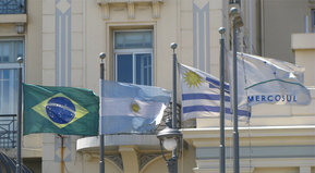 Sale con fritas/fritinhas