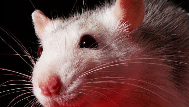 En la oficina tenemos una