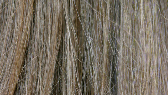 Por The New York Times