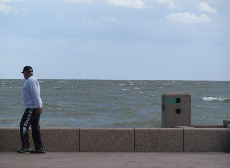 Montevideo celebrará el Mes del Ambiente con decenas de actividades en toda la ciudad
