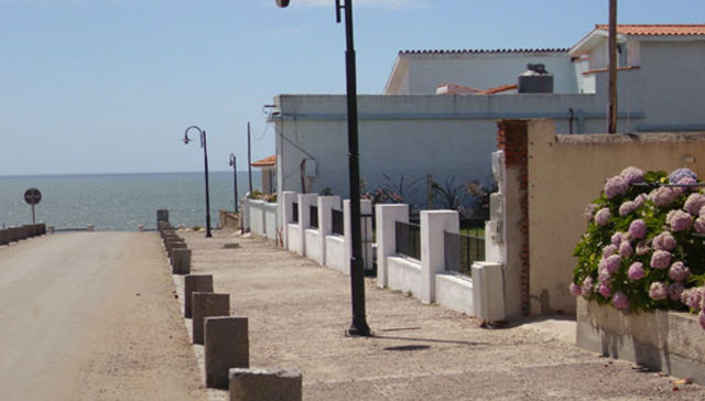 Oportunidad oportuna