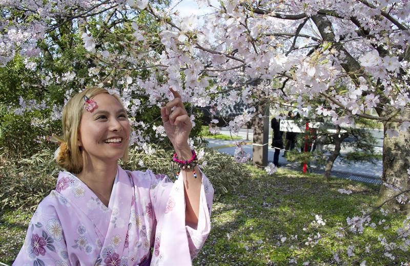 De turista en la capital