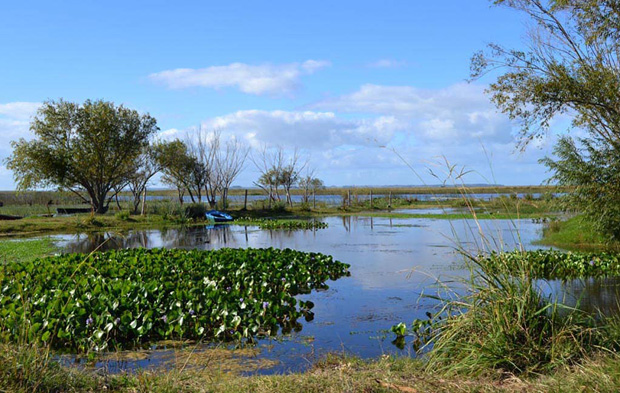 Los mejores - Canal-M - Montevideo Portal