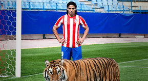 Peligrosos en el área