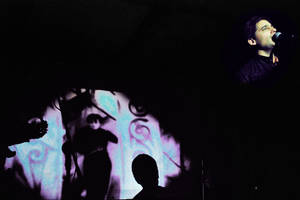 Canciones instantáneas