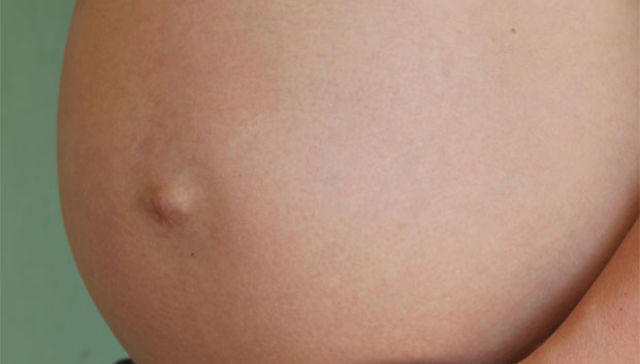 Cada uno a su tiempo