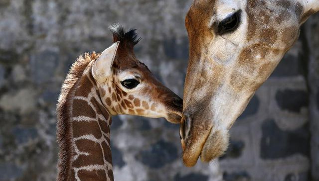 Le sobran los motivos