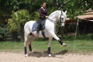 Con faldas: Alfonsina Maldonado