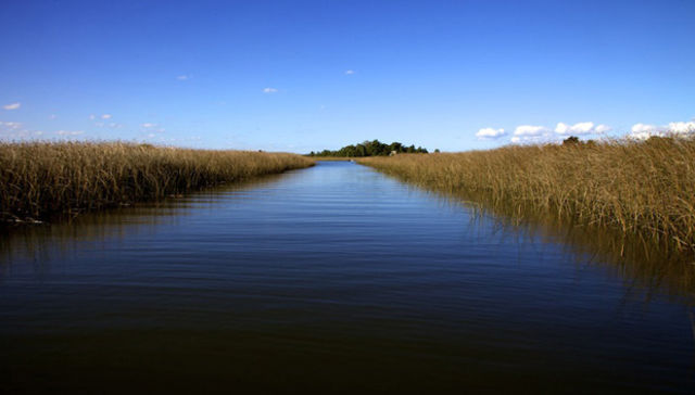 Del medio al miedo ambiente