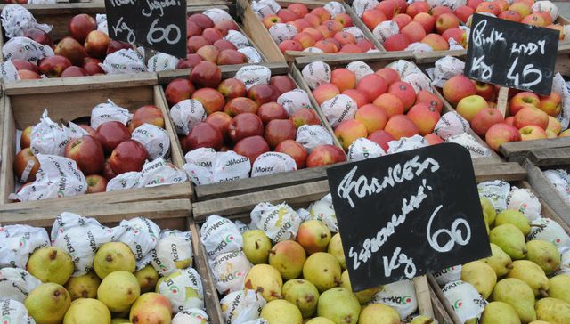 Suben, pero con orden