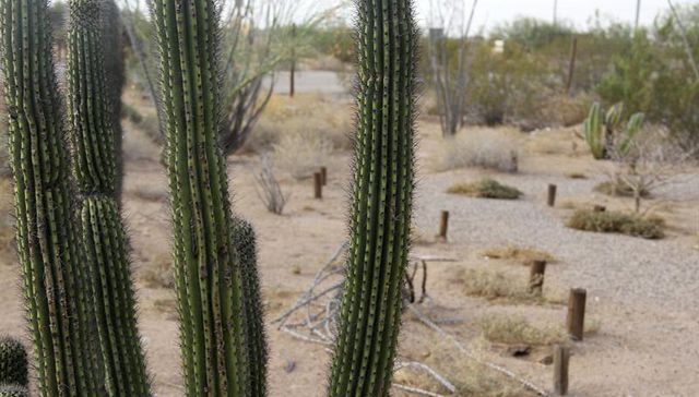 Escribe Daniel Mordecki