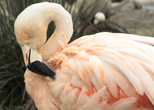 Y el tema de las medias