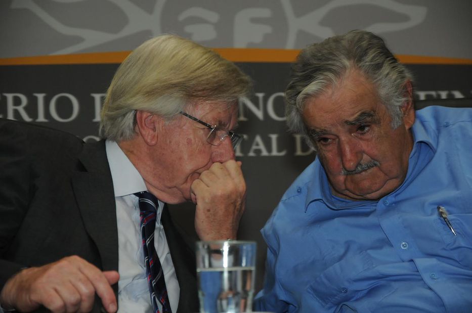 Y todo eso, con medio peso