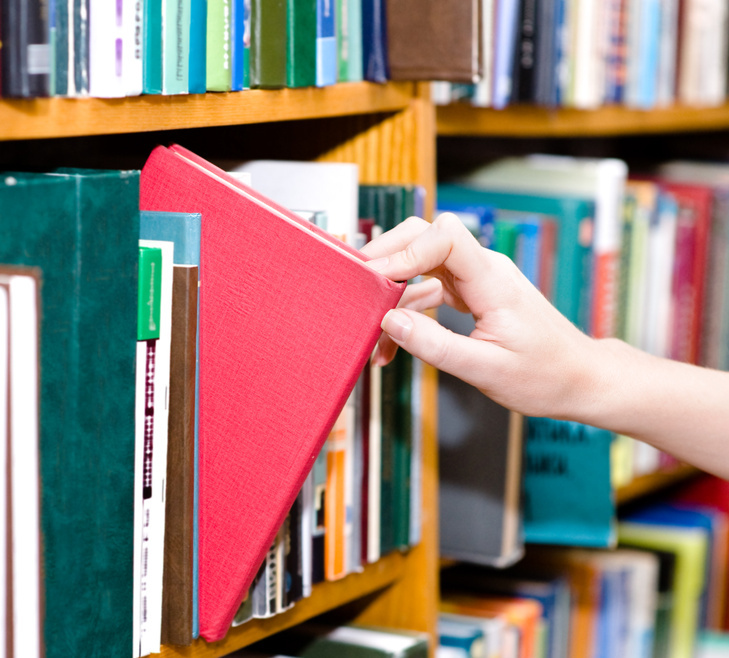 Nobel de Literatura 2026: dos latinoamericanas aparecen entre las favoritas para ganar