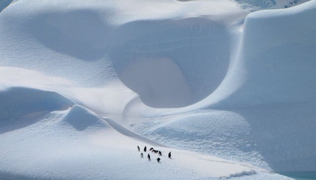 Como el sol cuando amanece