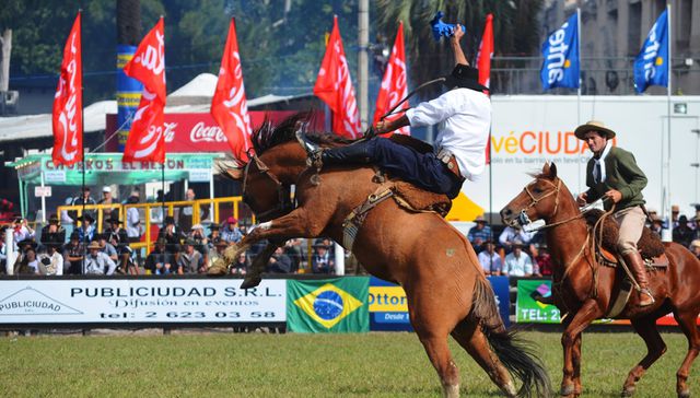 El campo en la ciudad