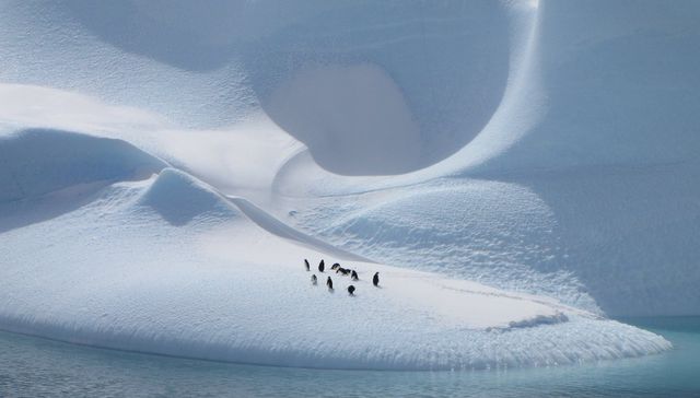 Como el sol cuando amanece