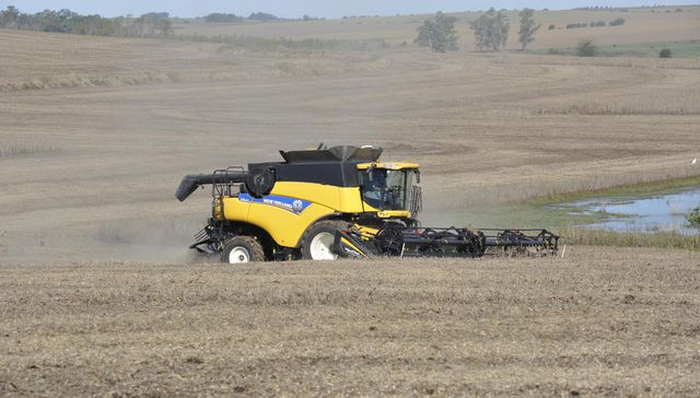 Escribe Alejandro “Pacha” Sánchez