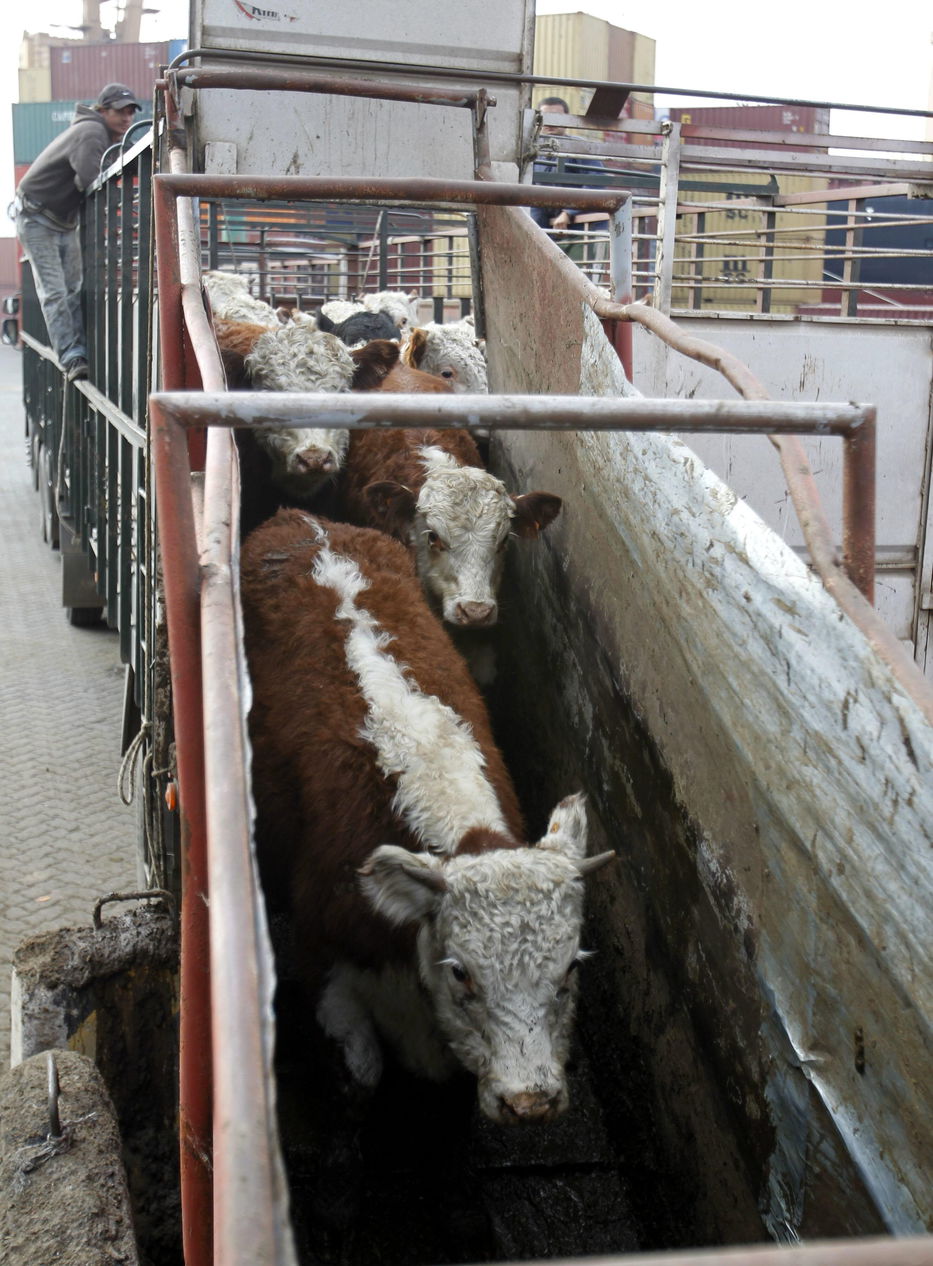 No hay viento en popa