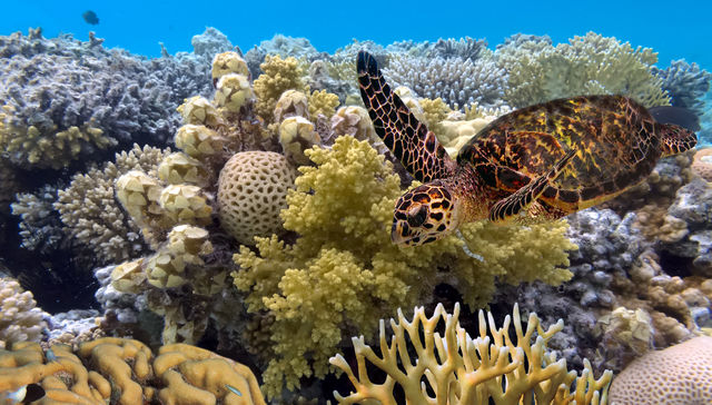 Nada de tirarlos al tuntún