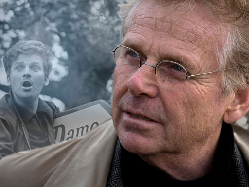 Dany el verde amarelo