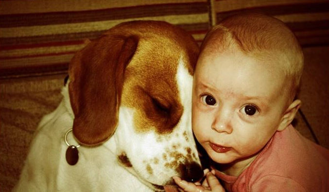 Juguetes compartidos