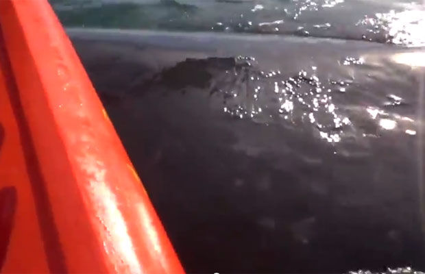 La curiosidad mató al kayak