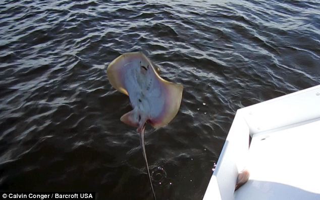 Se agranda la familia