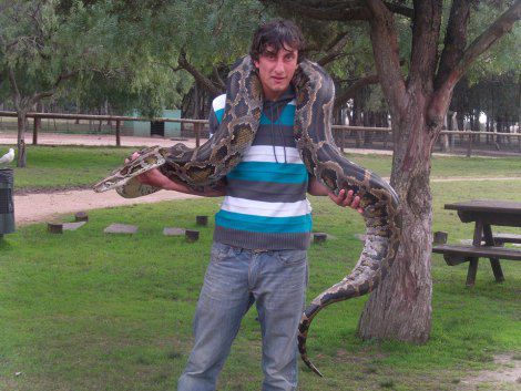 La mascota y su contexto