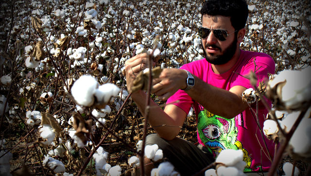 Castillos en la tierra