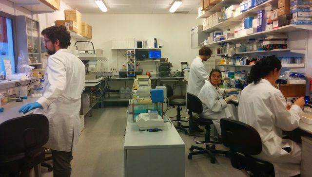 Los del Pasteur la rompen toda