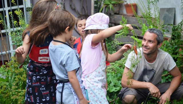 Semilla en la tierra