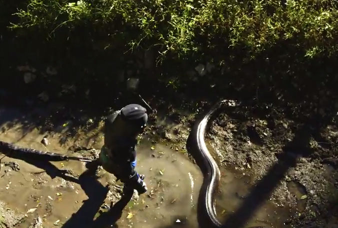 El interior profundo