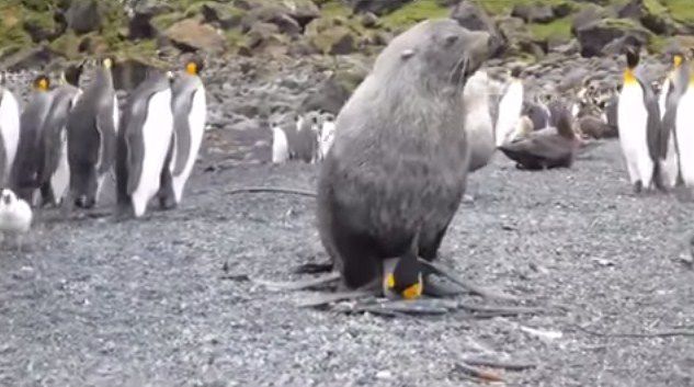 La isla de la fantasía