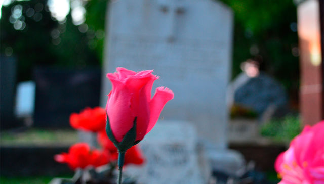 Prevenir durante el lamentar